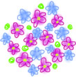 �u�[�P